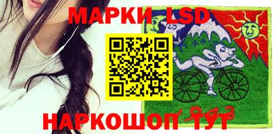 ПСИЛОЦИБИНОВЫЕ ГРИБЫ Аргун