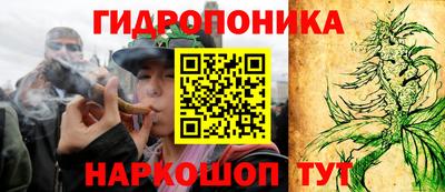 ПСИЛОЦИБИНОВЫЕ ГРИБЫ Аргун