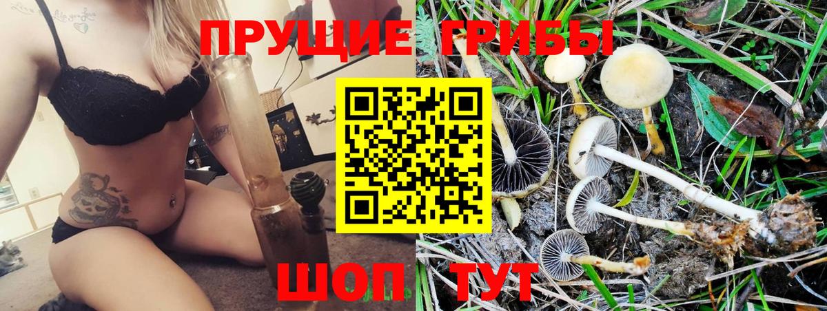 как найти закладки  Вход с VPN  Азнакаево  Псилоцибиновые грибы прущие грибы 